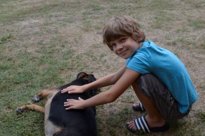 Cosmo maakt kennis met een hond van Floor en Sandra.
Keywords: Cosmo de Rouck hond Sandra Floor Nagydobsza vakantie 2015