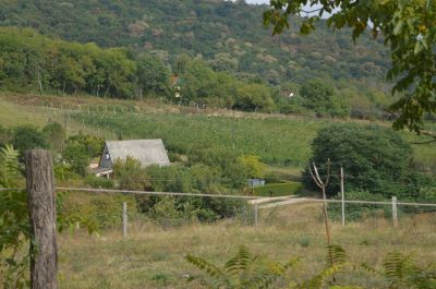 Een huisje tussen de wijngaarden.
Keywords: Harkany restaurant vakantie 2015 Hongarije uitzicht