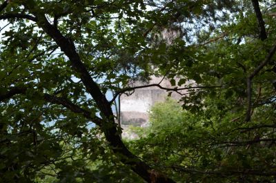 Het kasteel van Apiano verborgen achter de bomen.
Keywords: Apiano Italië vakantie 2015 kasteel burcht